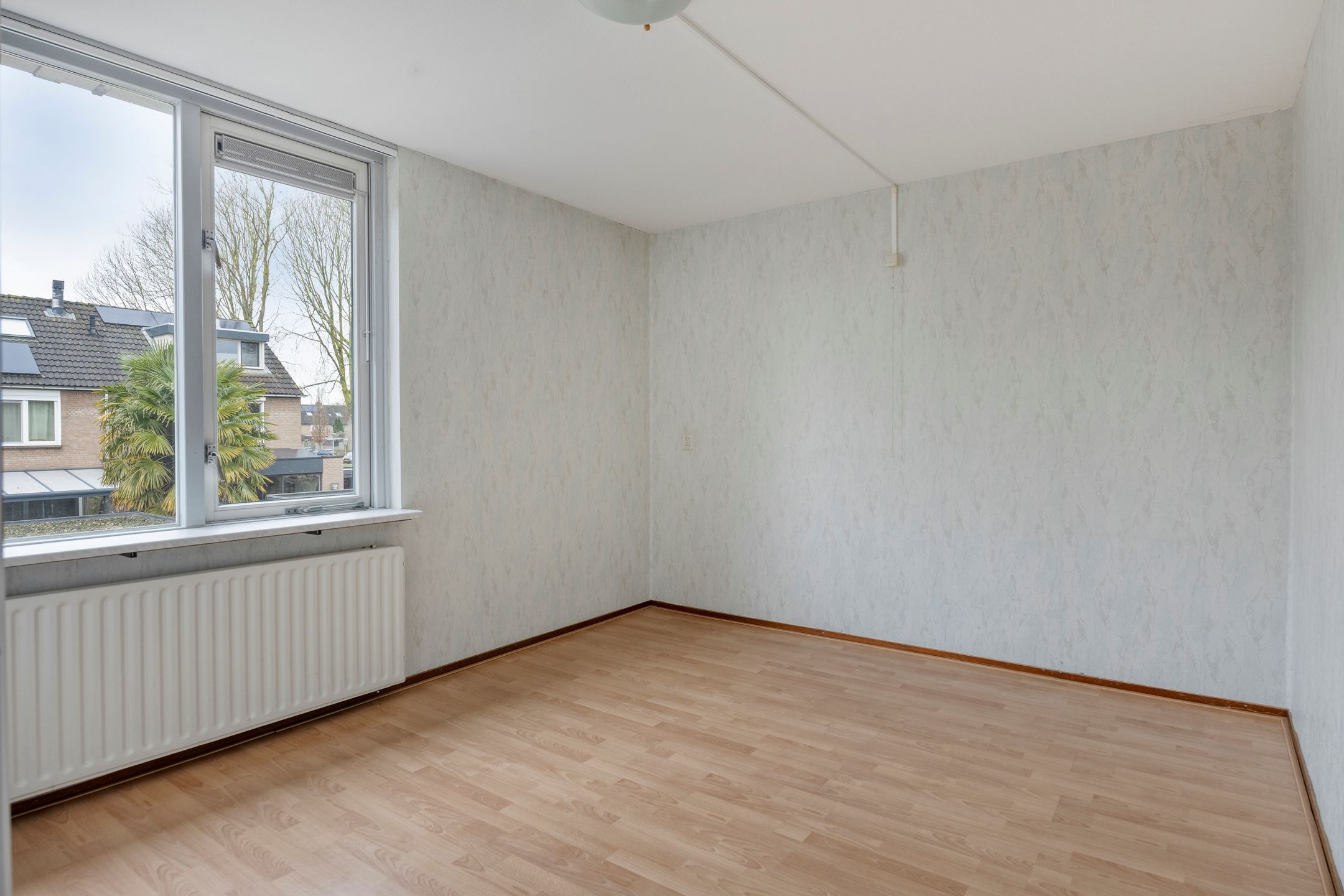 Foto 12 van Bolenstein 5