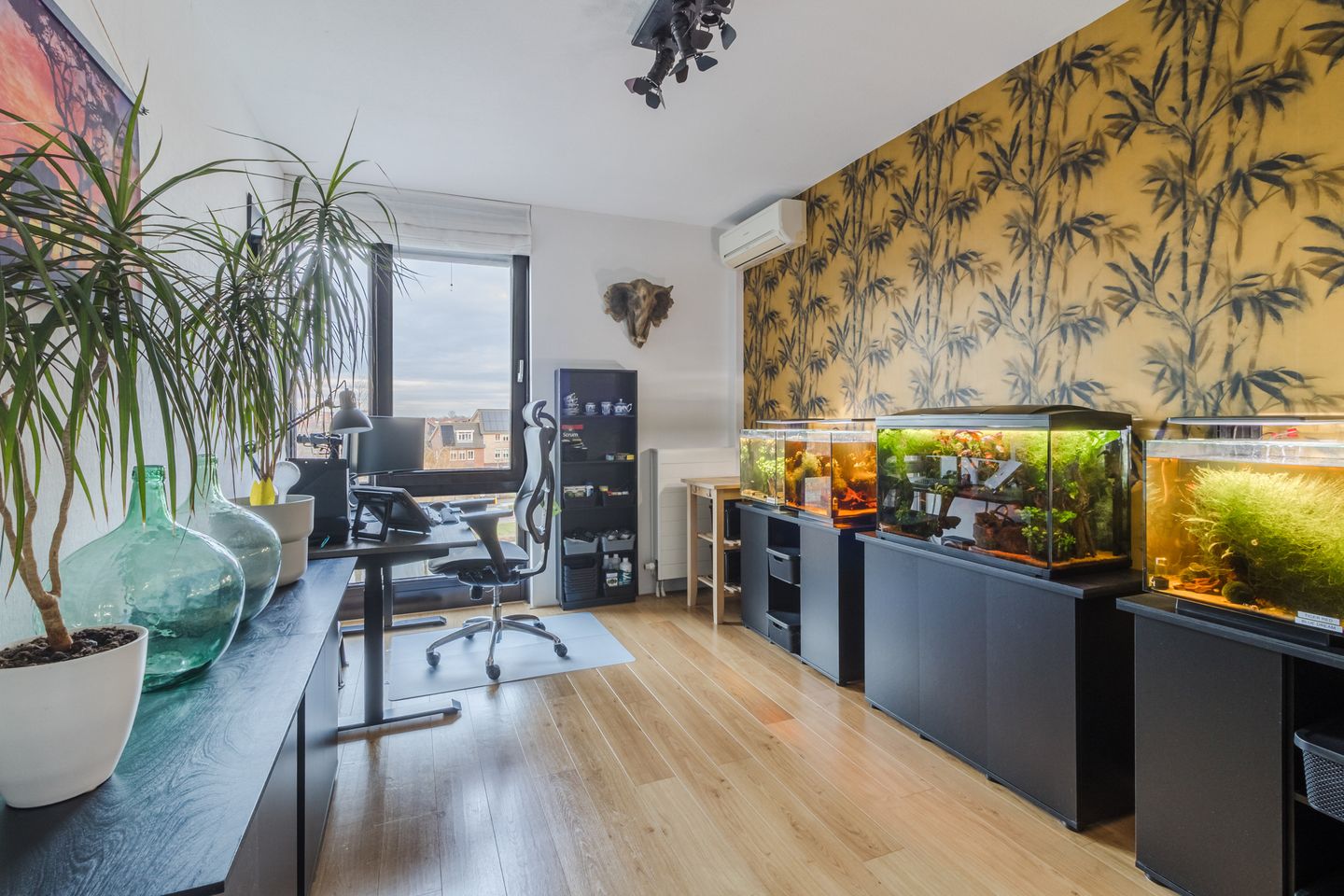 Foto 40 van De Heerlijkheid 11