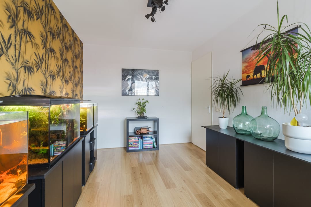 Foto 41 van De Heerlijkheid 11