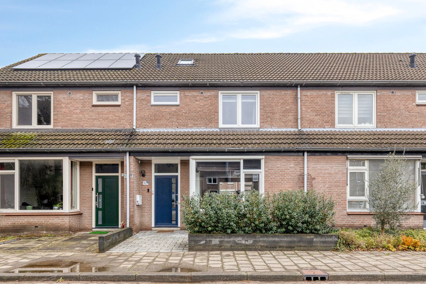 Foto 1 van Zilvermeeuw 151