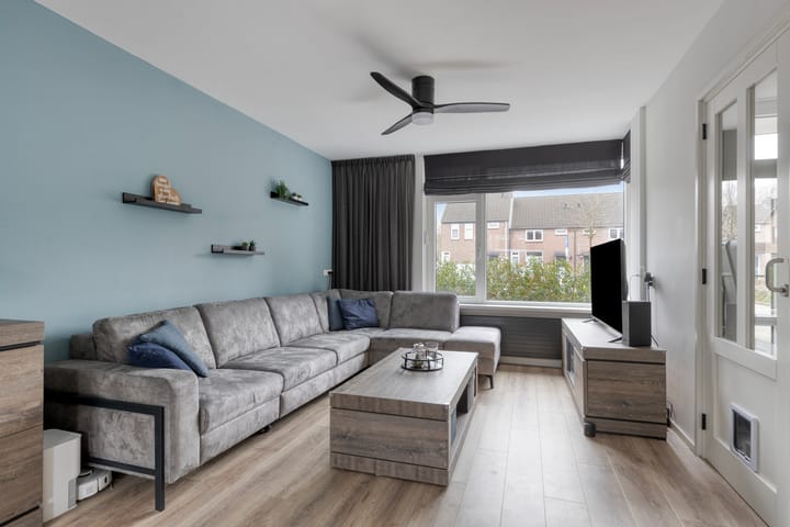 Foto 2 van Zilvermeeuw 151