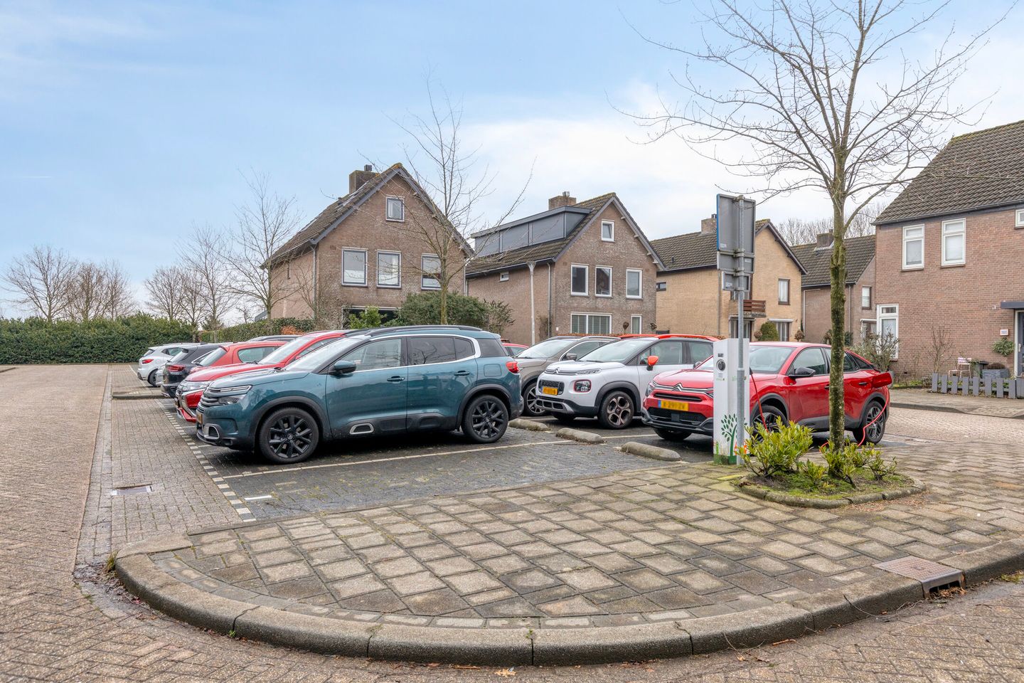 Photo 35 of Zilvermeeuw 151