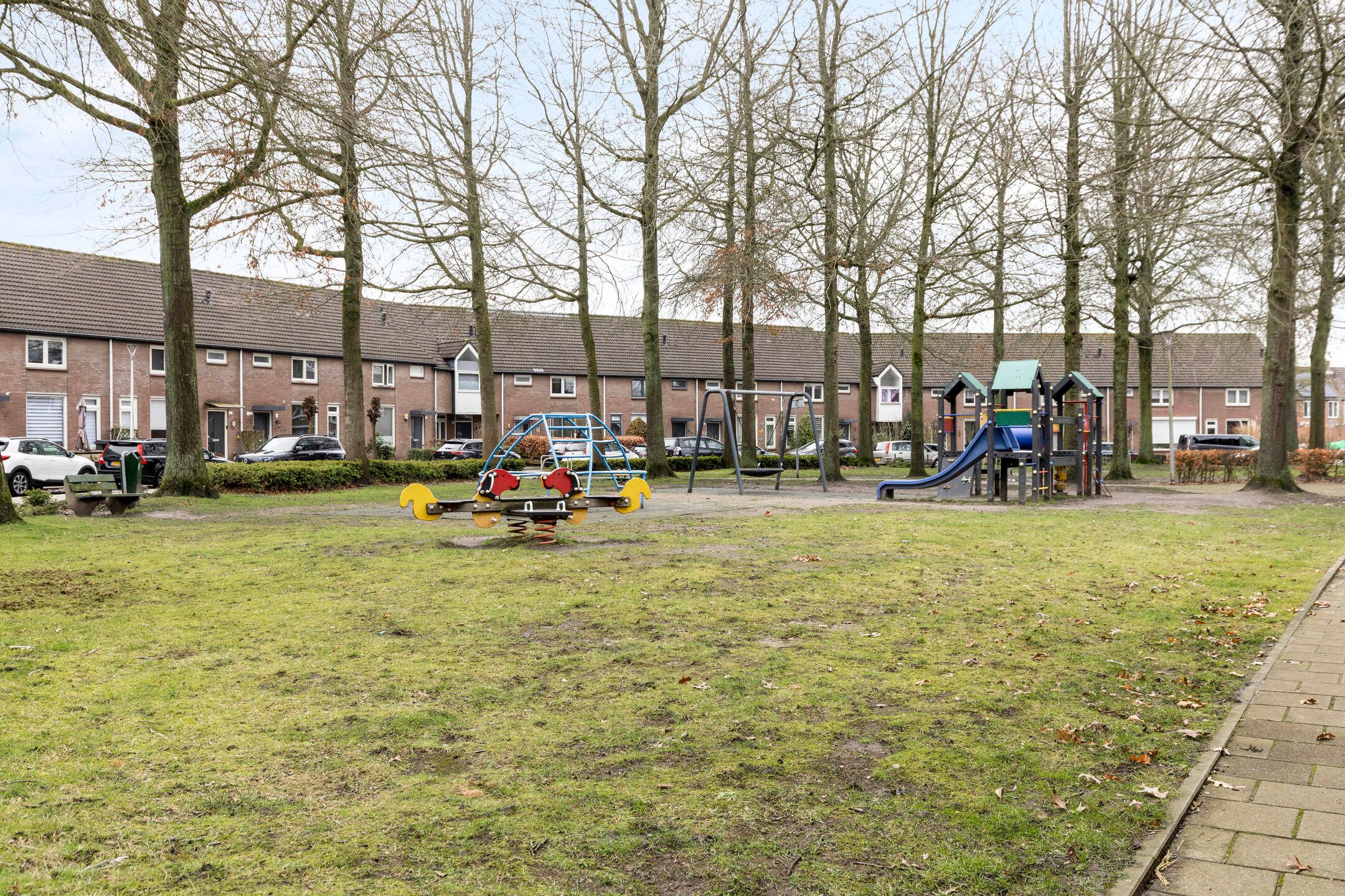 Photo 36 of Zilvermeeuw 151