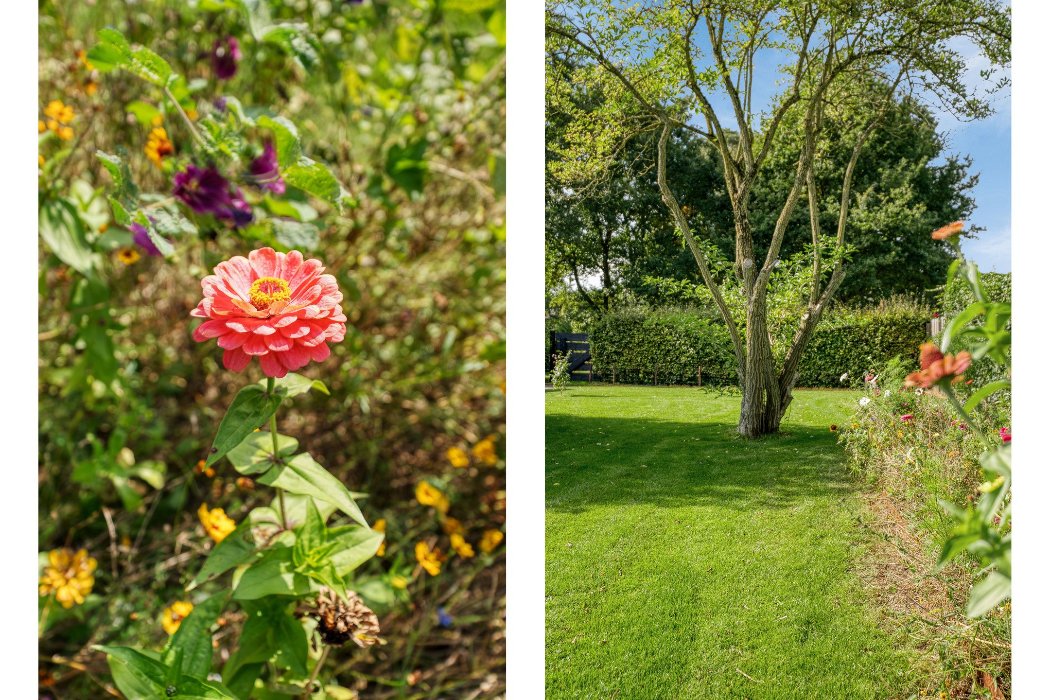 Foto 57 van Klooster 2