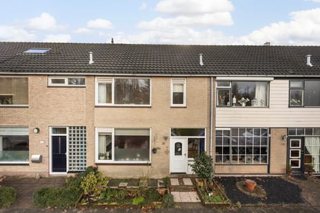 undefined main image