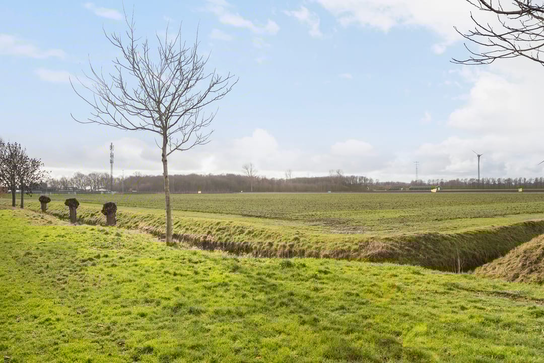 Foto 47 van Plataanstraat 31