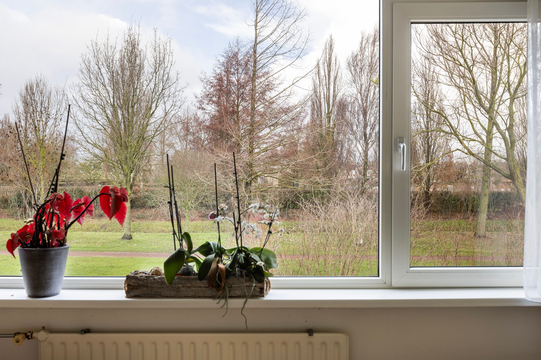 Foto 30 van Plataanstraat 31