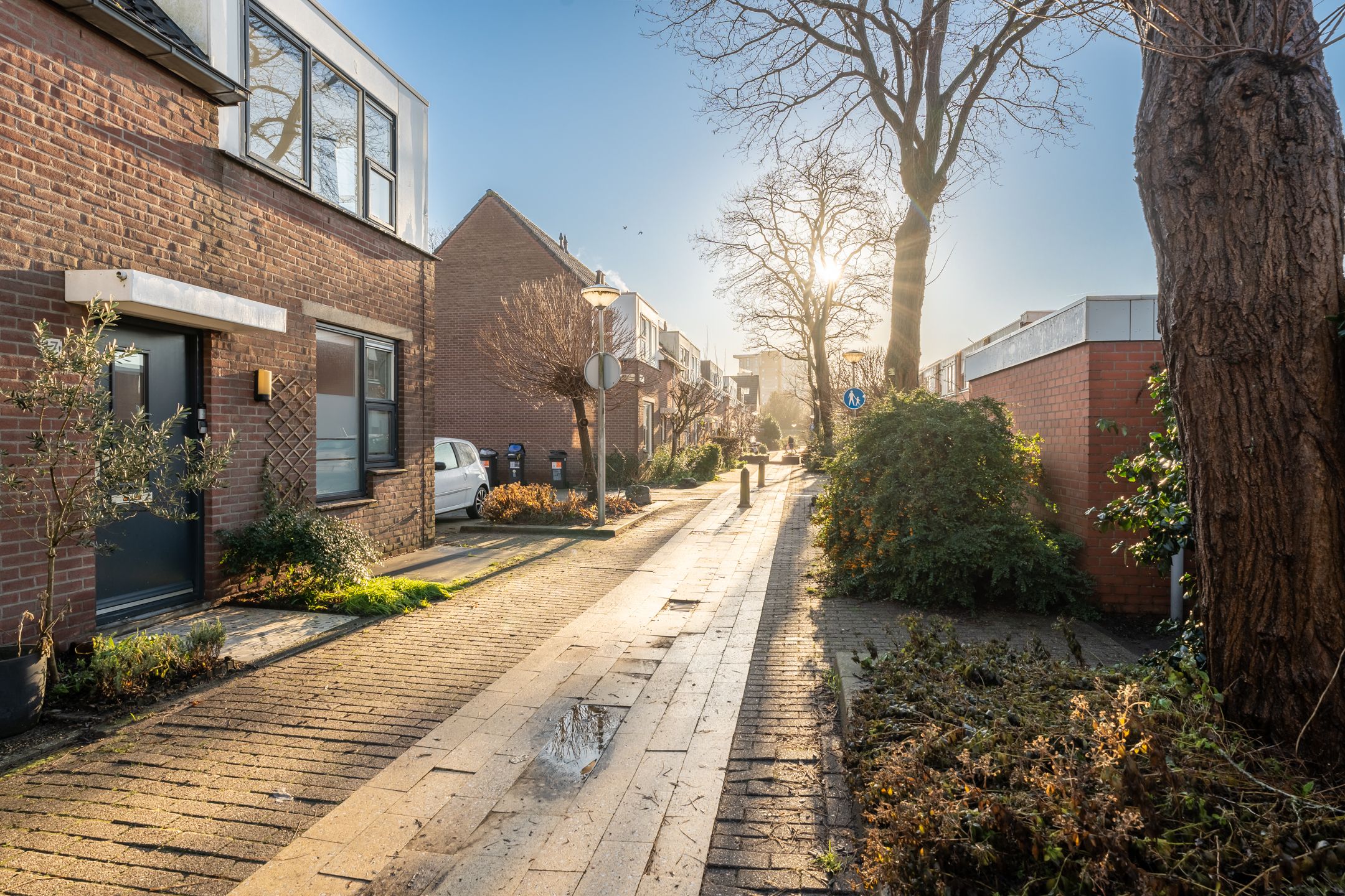 Foto 6 van Pijlkruid 17