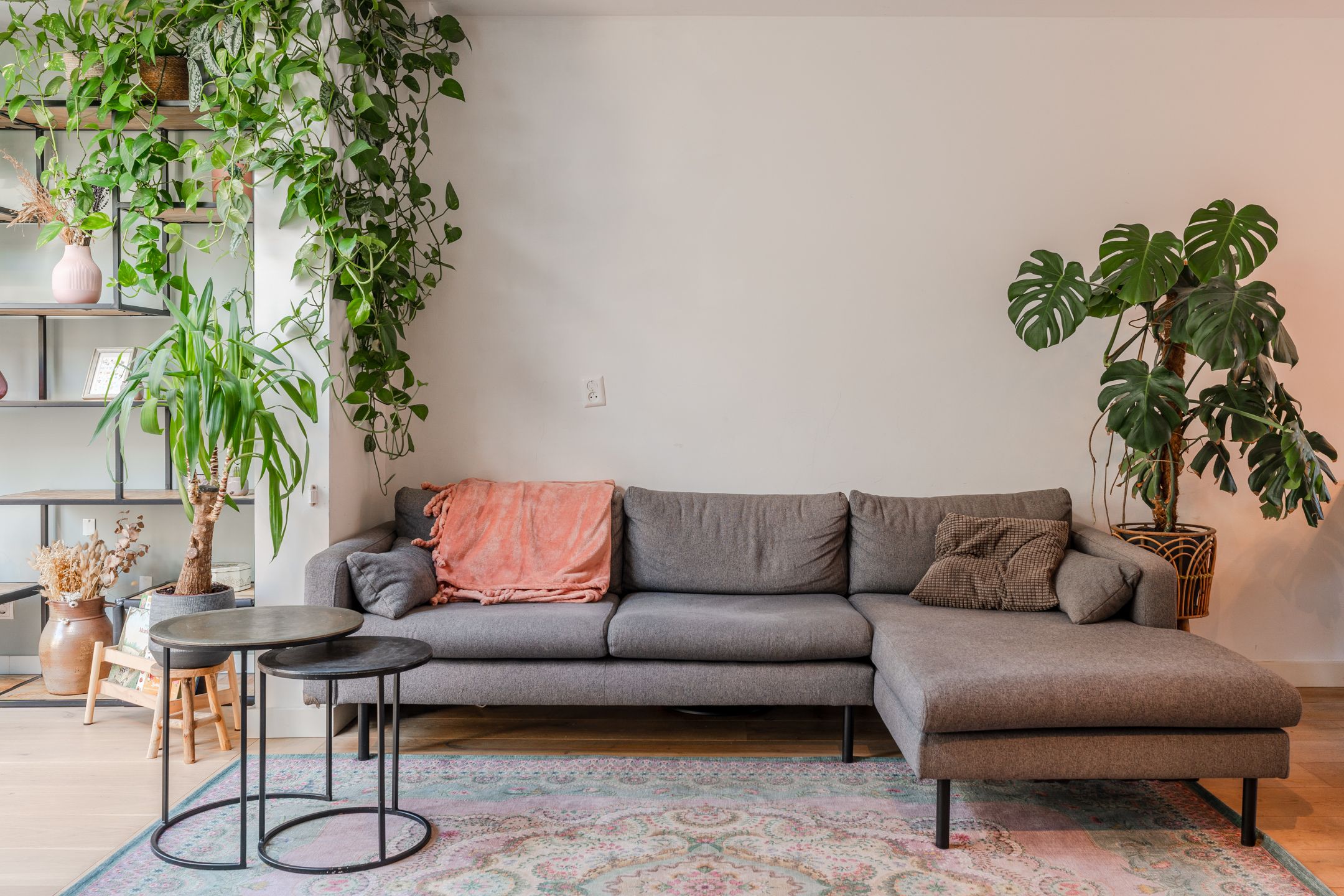 Foto 12 van Pijlkruid 17