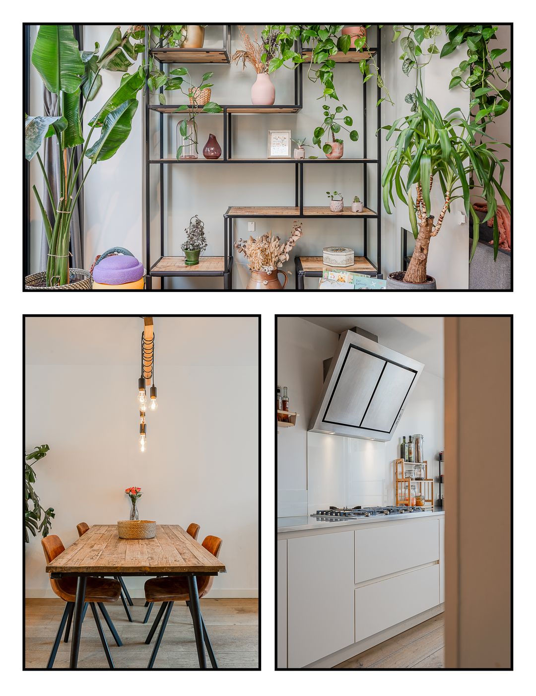 Foto 13 van Pijlkruid 17