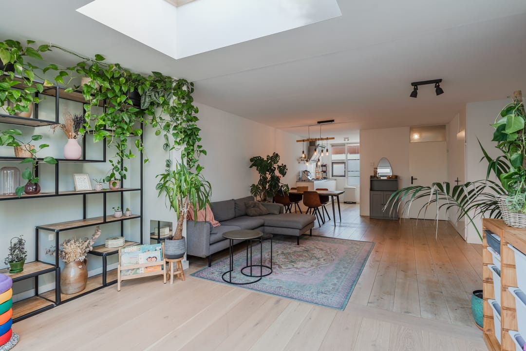 Foto 16 van Pijlkruid 17