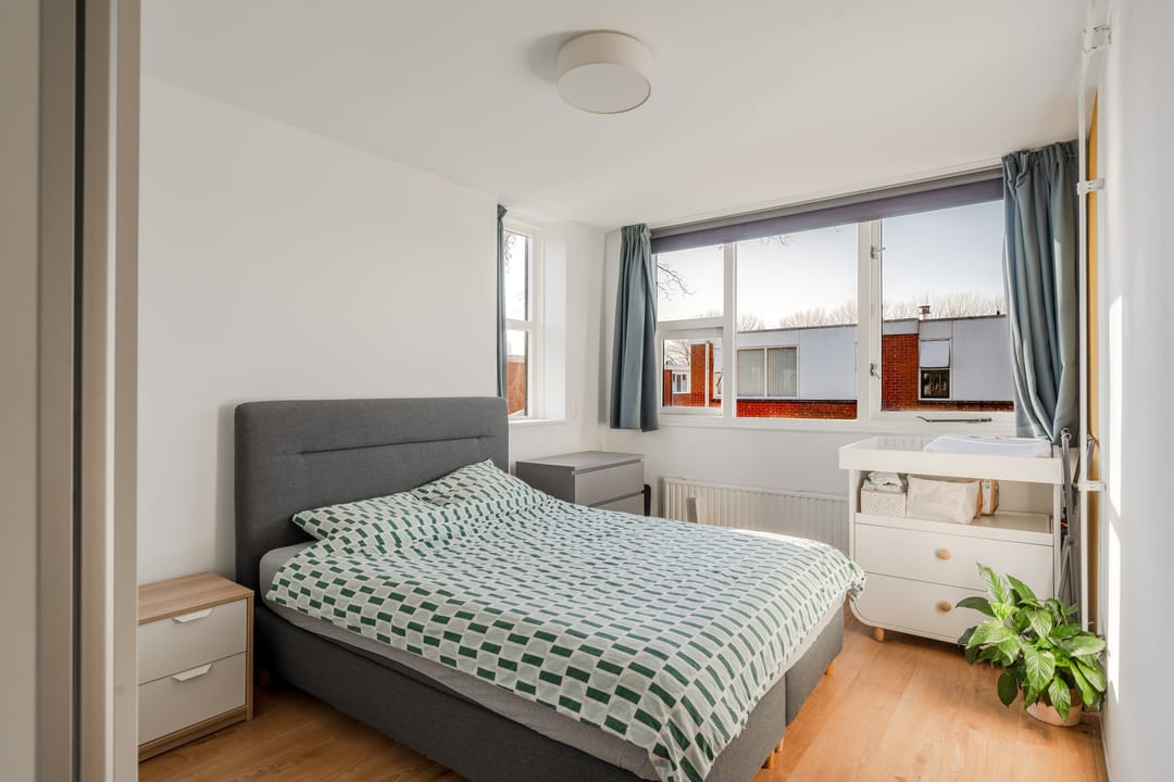 Foto 31 van Pijlkruid 17