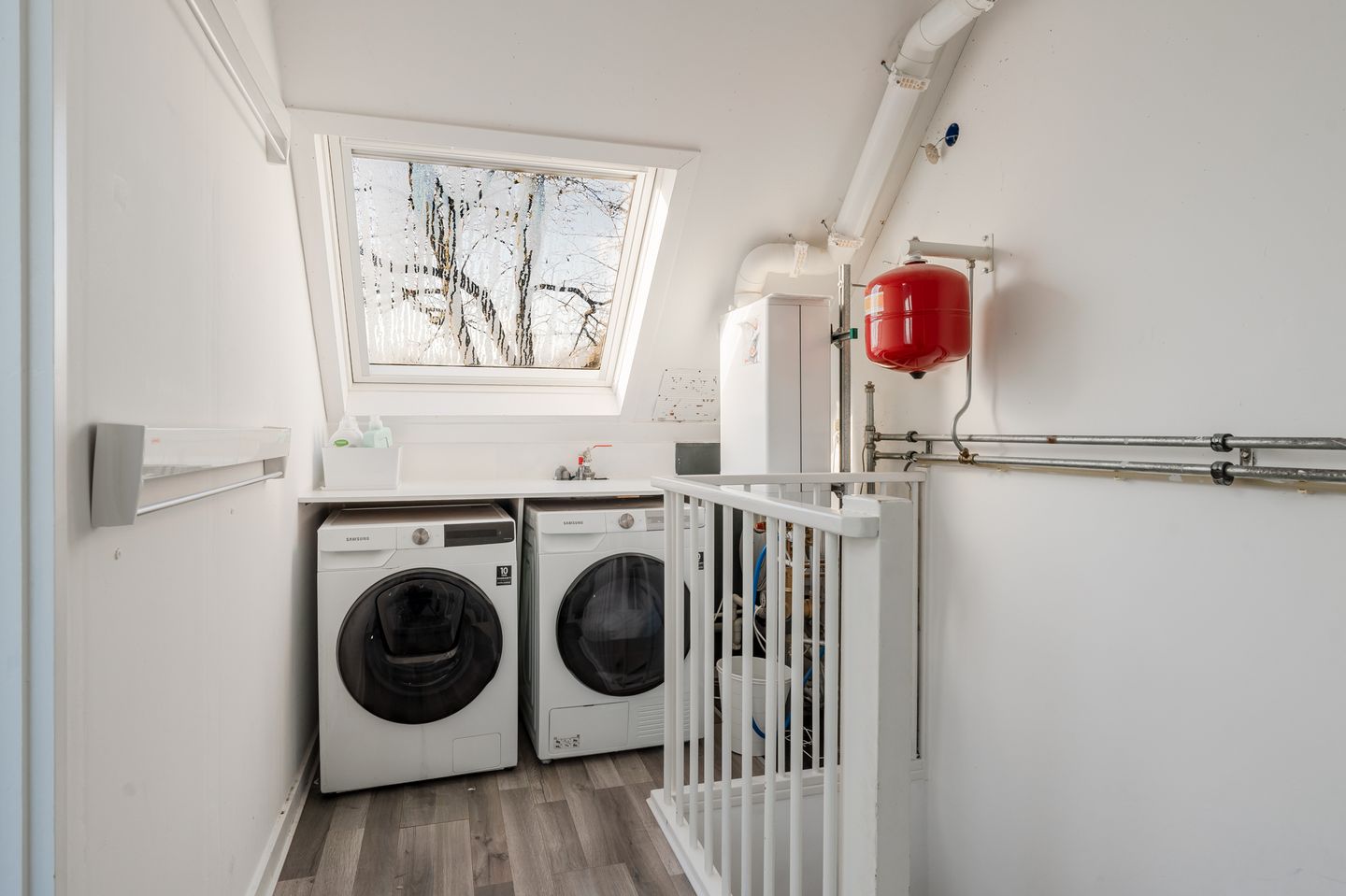 Foto 50 van Pijlkruid 17