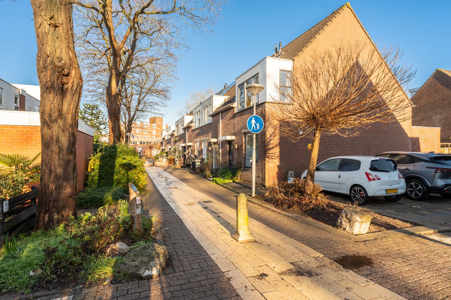 Foto 55 van Pijlkruid 17