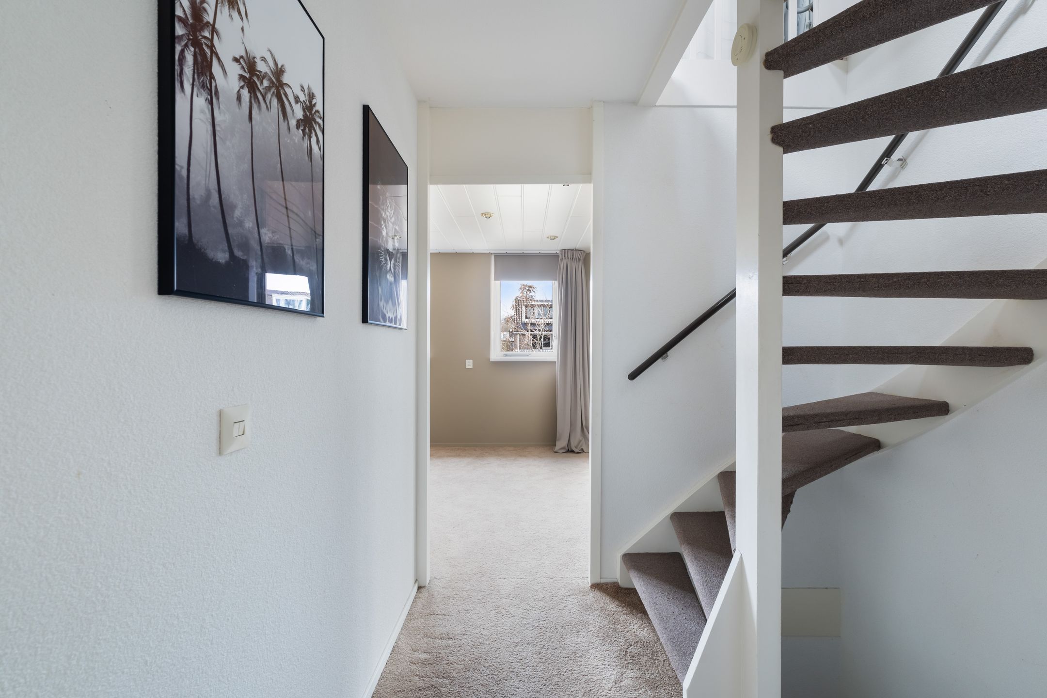 Foto 27 van Veenmos 7