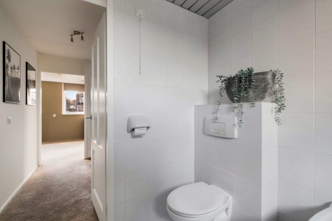 Foto 38 van Veenmos 7