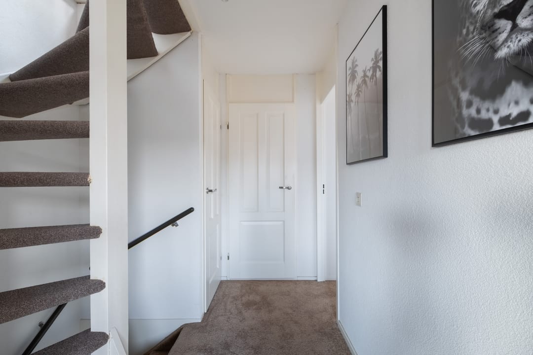 Foto 43 van Veenmos 7