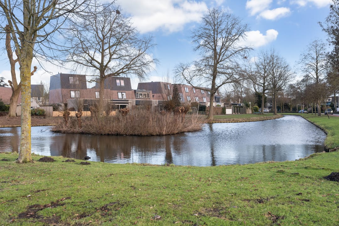 Foto 52 van Veenmos 7