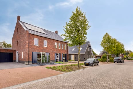Toon van den Bornestraat thumbnail