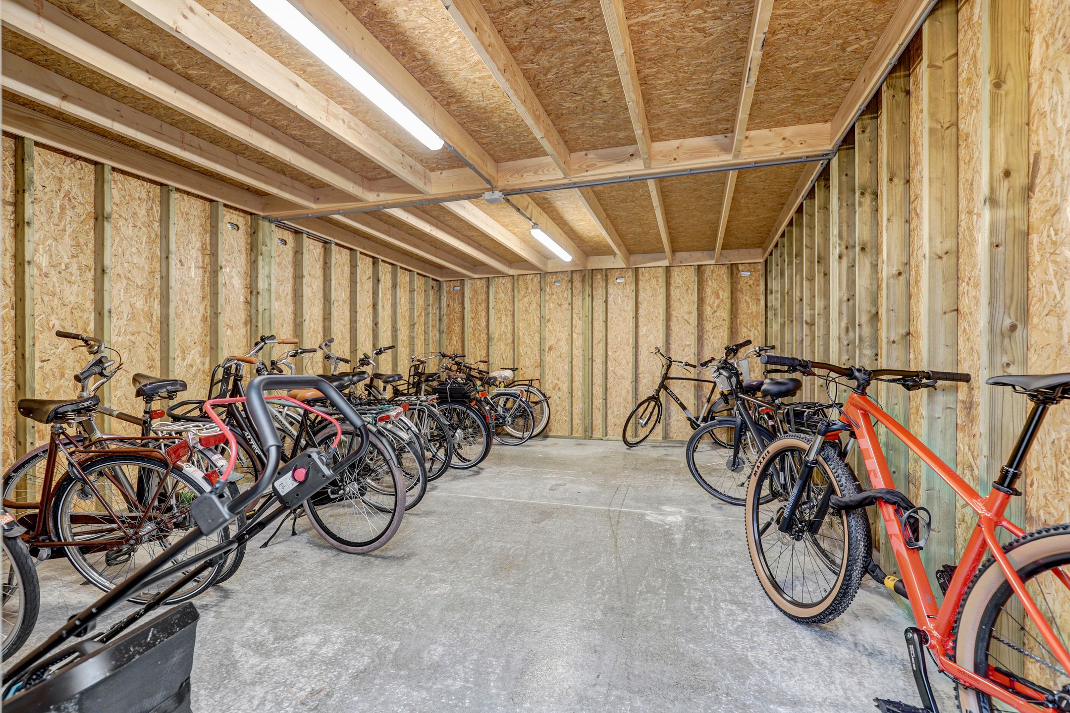 Photo 27 of Notenhout 24