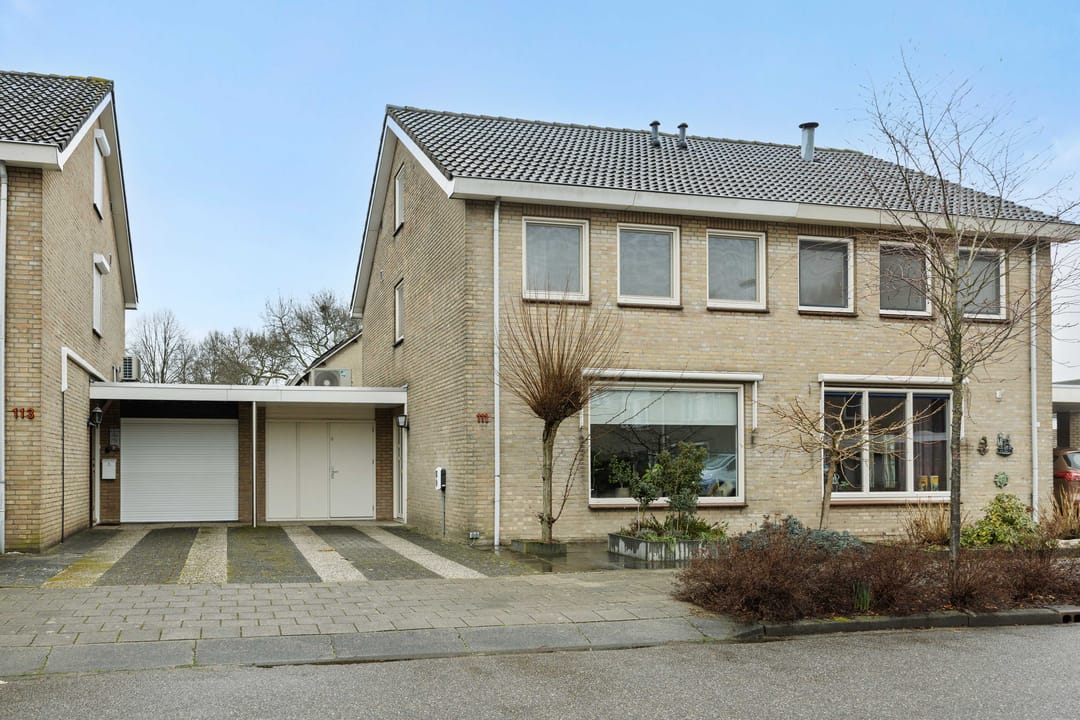 Foto 1 van Adelaar 111