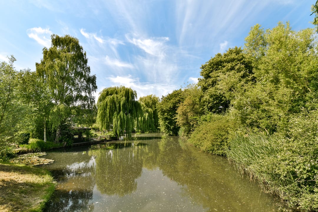 Foto 41 van Zwaluwenburg 71