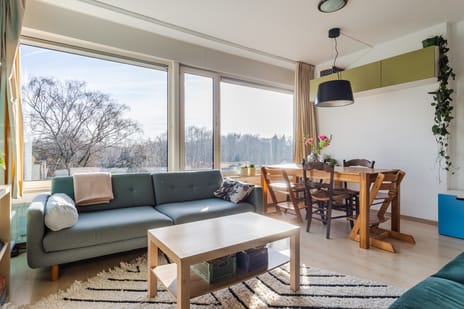 Van Haapsstraat thumbnail