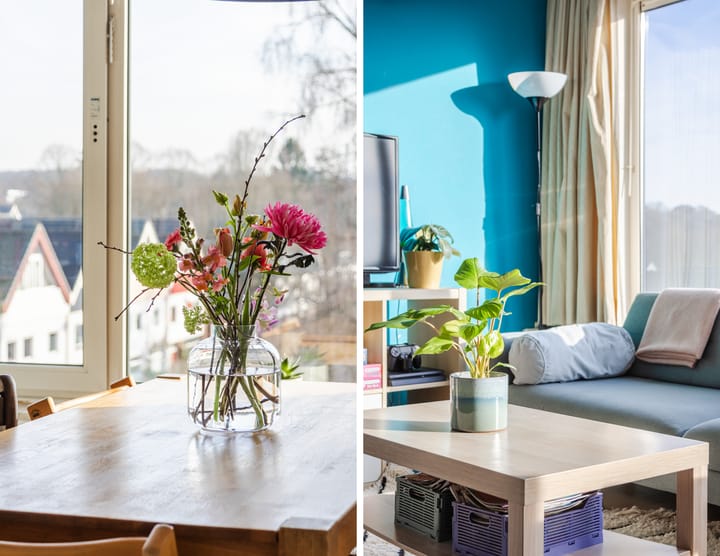 Foto 2 van Van Haapsstraat 66