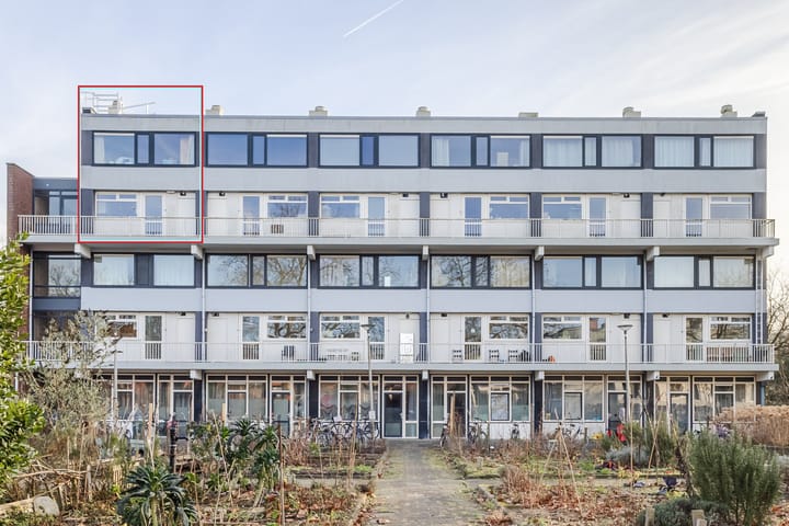 Foto 5 van Van Haapsstraat 66