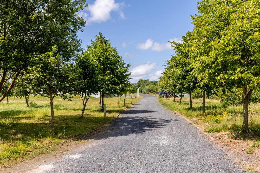 Foto 77 van Battenoordsedijk 17