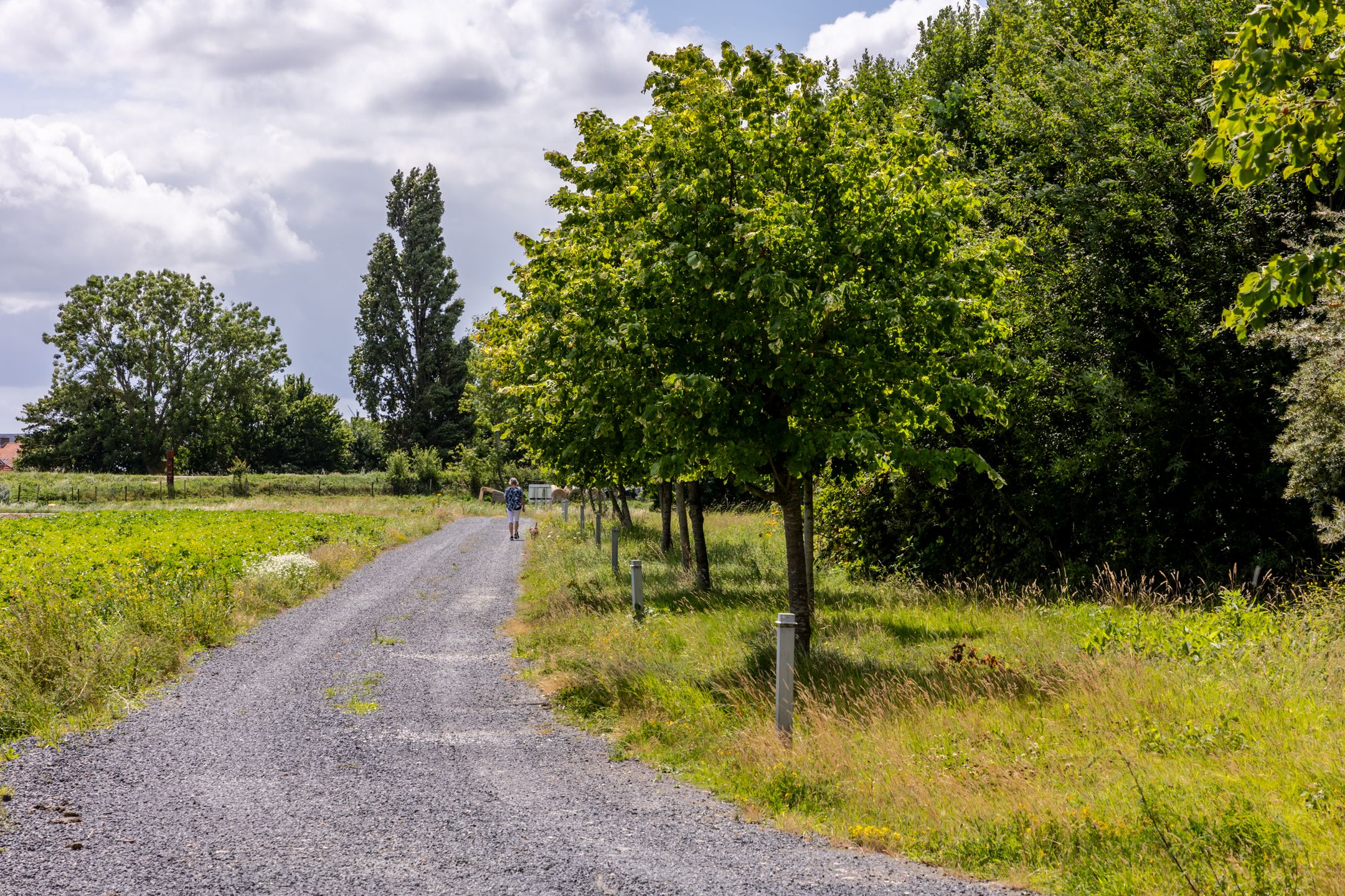 Foto 78 van Battenoordsedijk 17