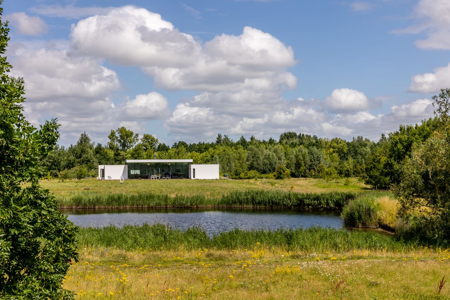 Foto 80 van Battenoordsedijk 17