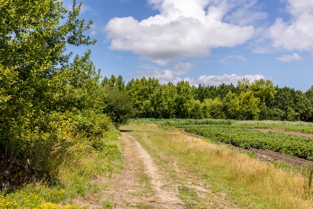 Foto 86 van Battenoordsedijk 17