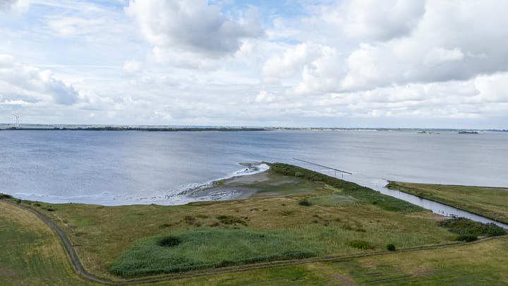 Foto 91 van Battenoordsedijk 17