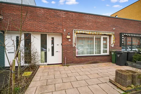 Amazonelaan thumbnail