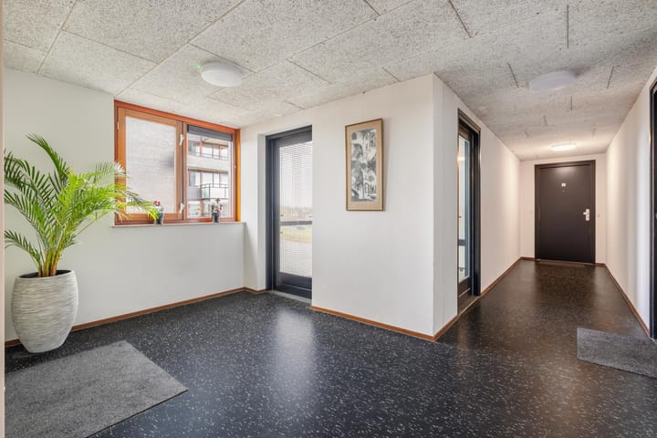 Foto 10 van Waterweegbree 141