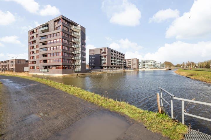 Foto 50 van Waterweegbree 141