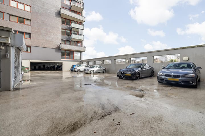 Foto 51 van Waterweegbree 141