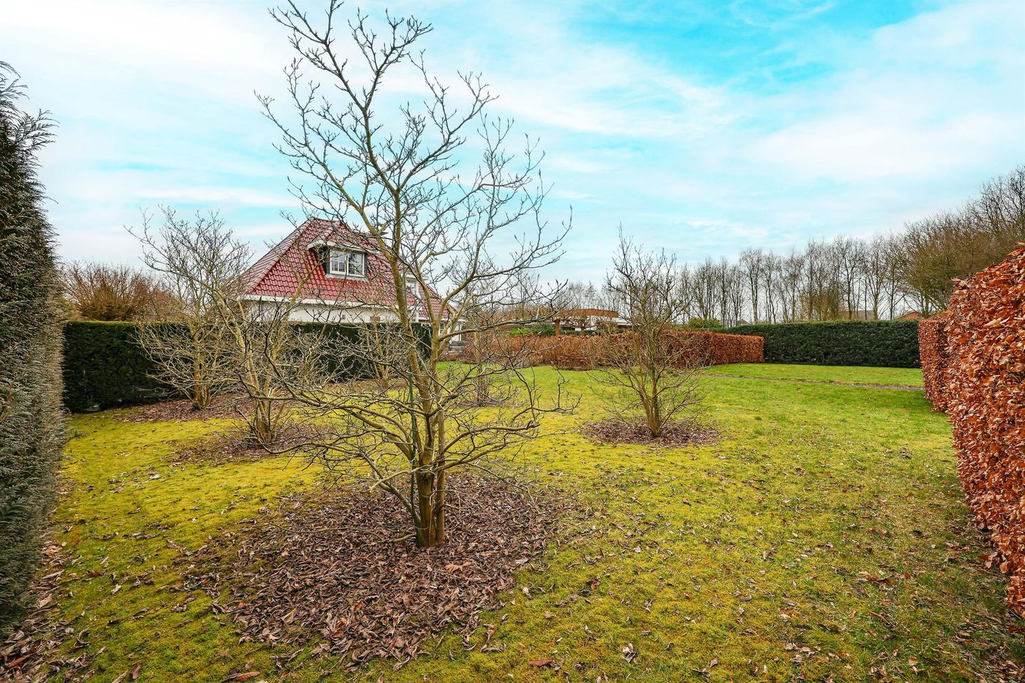 Photo 40 of Hoge Bergse Bos 1