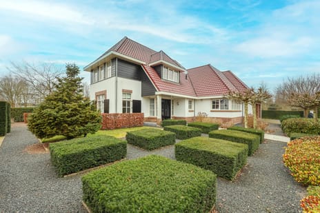 Hoge Bergse Bos thumbnail