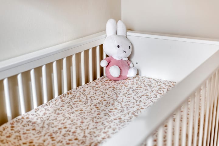 Foto 25 van Het Oosterveld 5-B