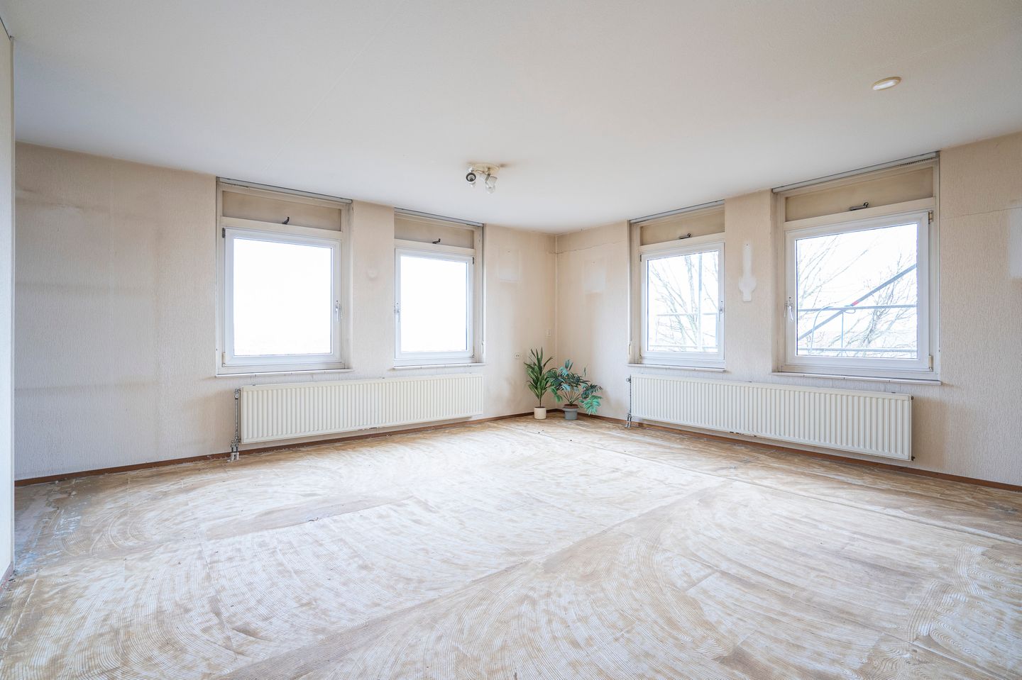 Foto 5 van Singel 18