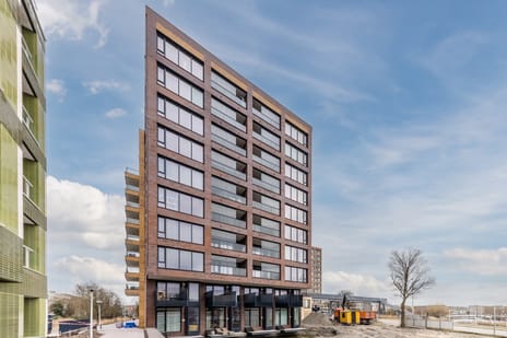 Mahoniehout thumbnail