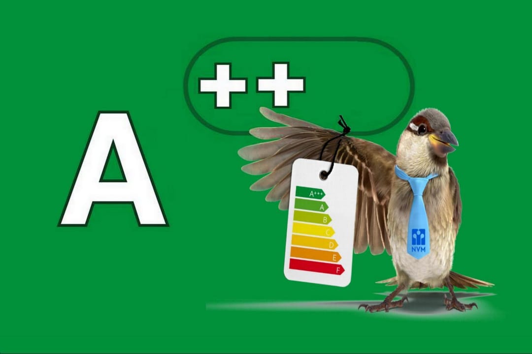 Foto 7 van Mahoniehout 406