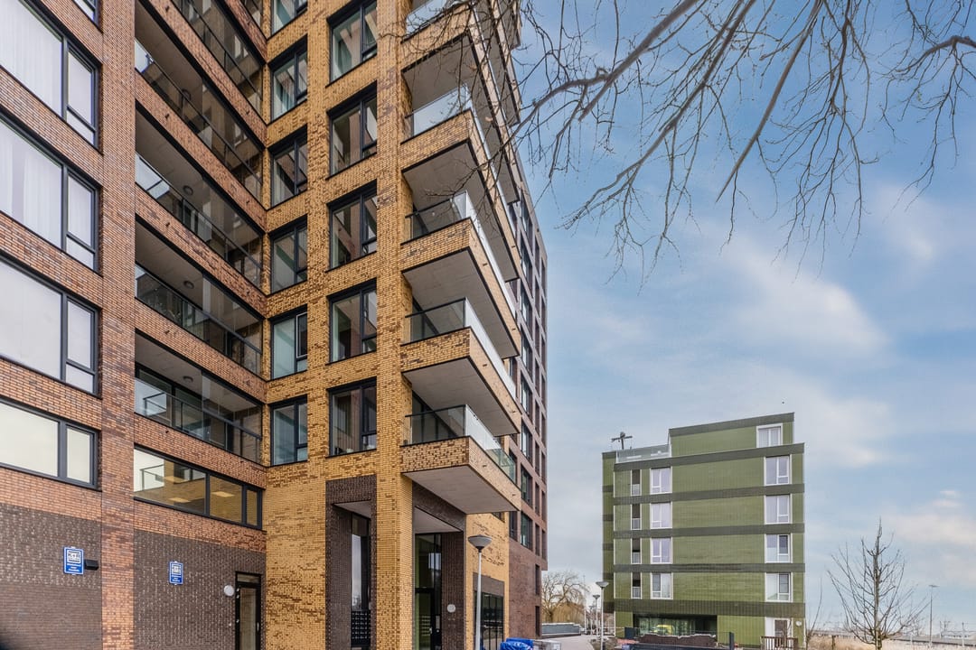 Foto 8 van Mahoniehout 406