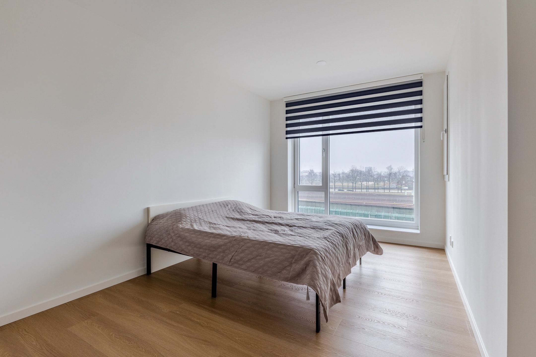 Foto 24 van Mahoniehout 406