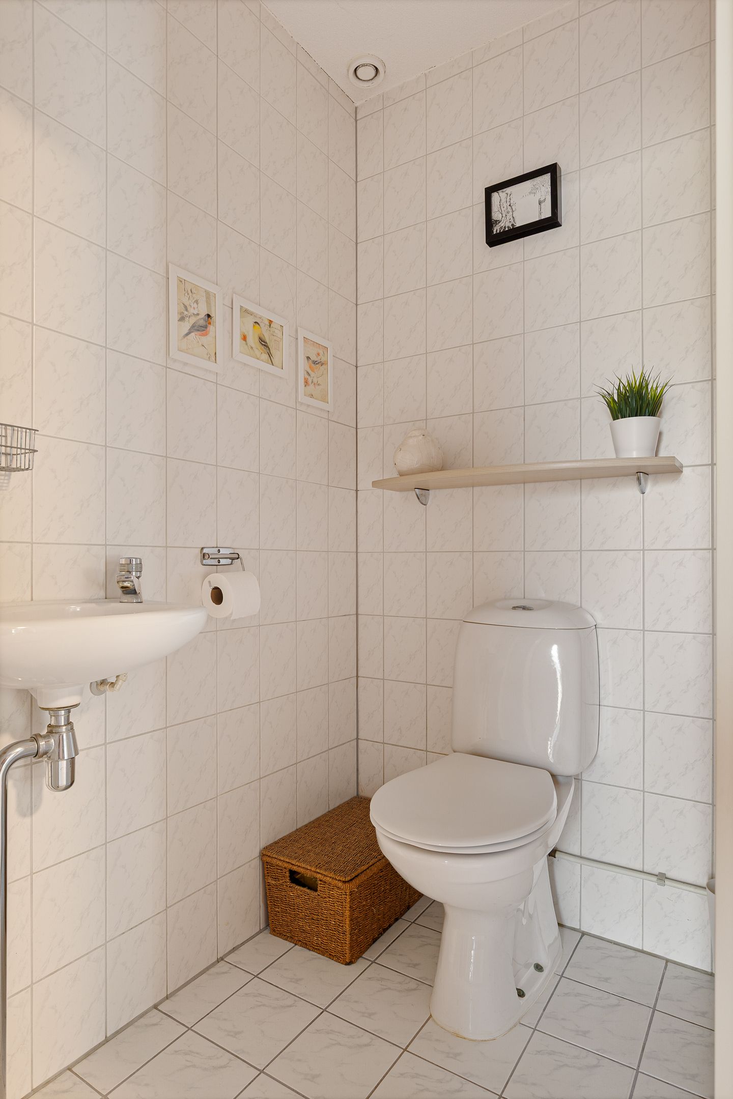 Foto 12 van Herfst 52