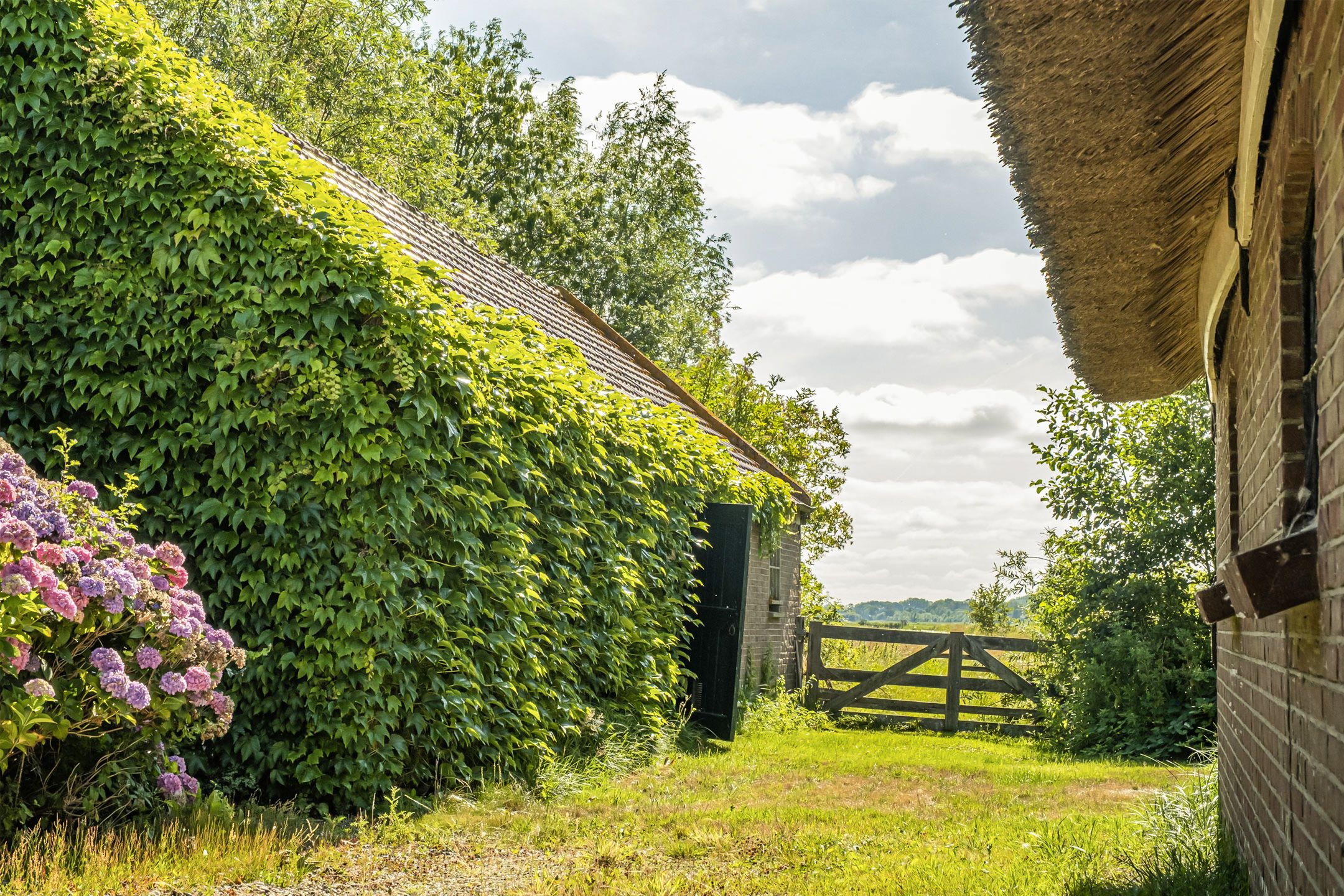 Foto 6 van Donkereind 23