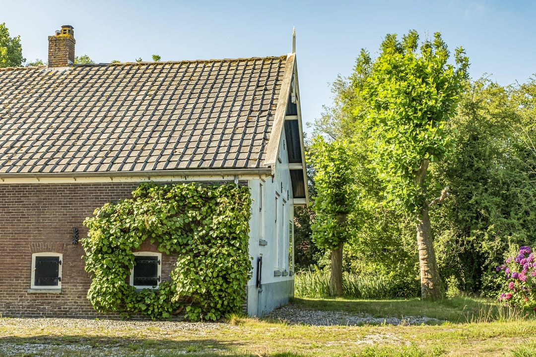 Foto 23 van Donkereind 23