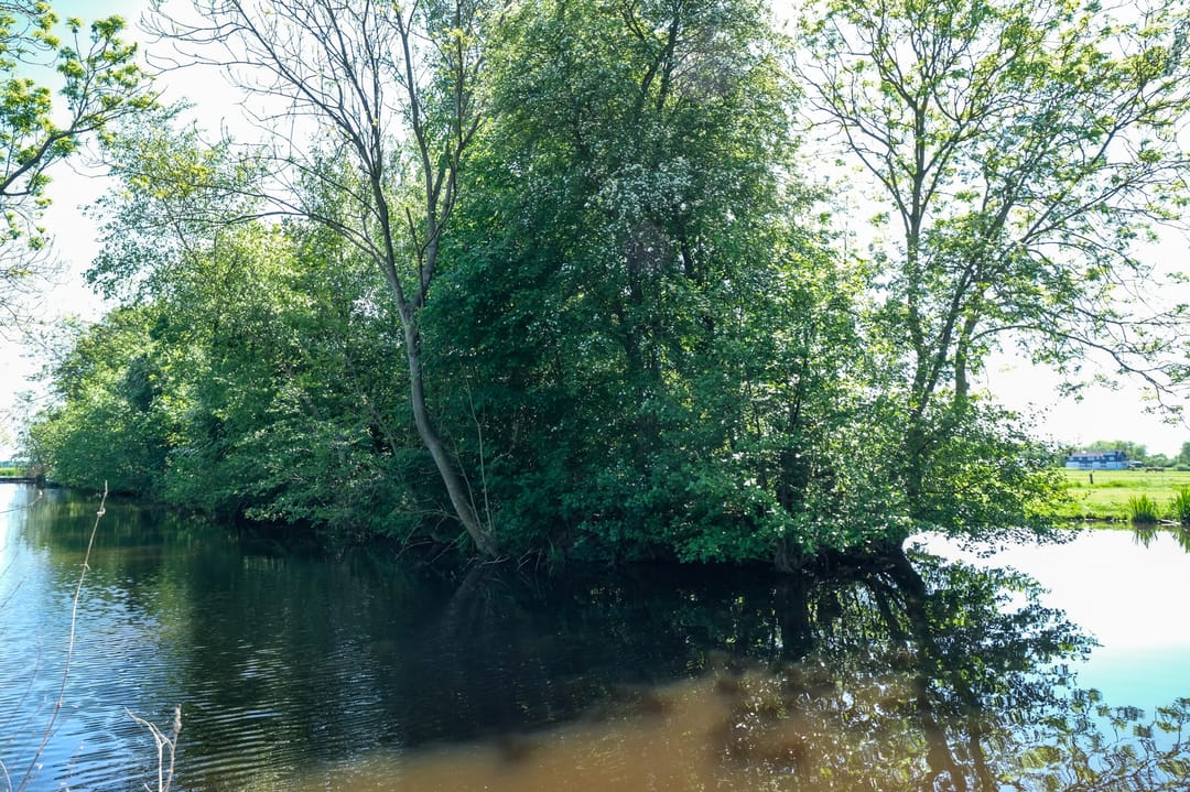 Foto 43 van Donkereind 23